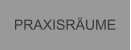 PRAXISRUME
