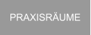 PRAXISRUME